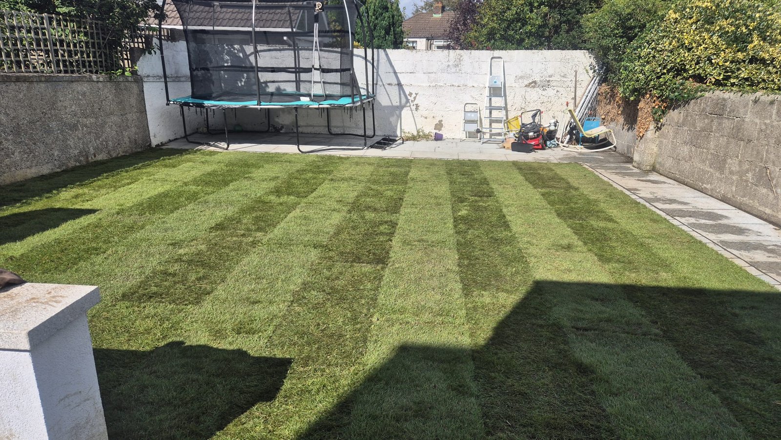 Healthy green lawn after care